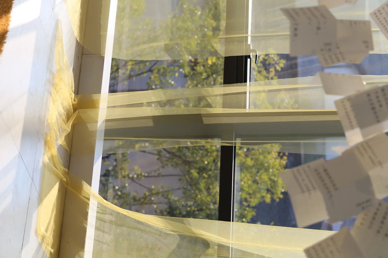 从水中诗，到诗中潮—徐志摩在海宁 26