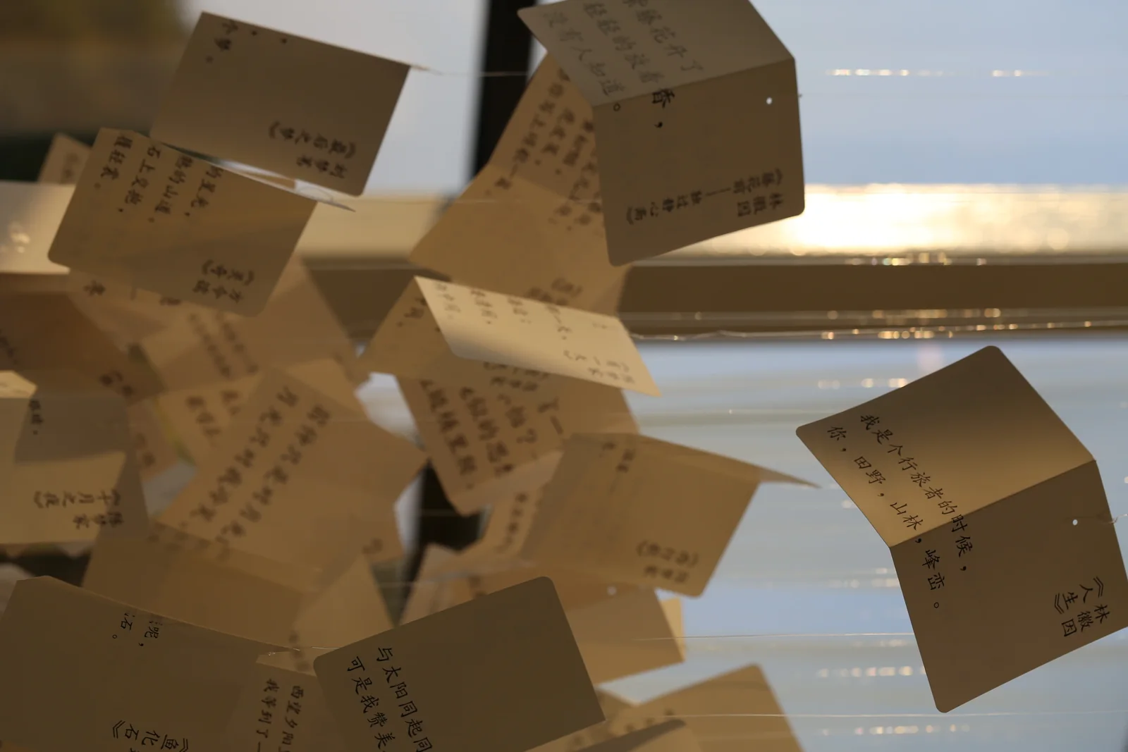 从水中诗，到诗中潮—徐志摩在海宁 32