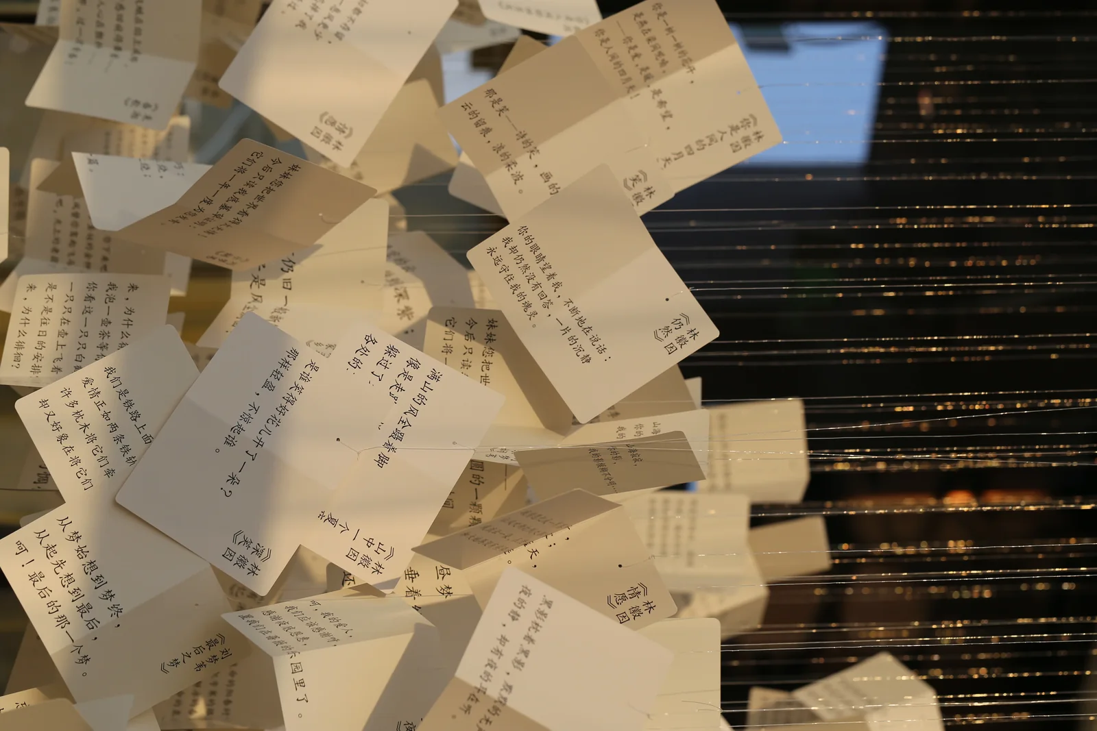 从水中诗，到诗中潮—徐志摩在海宁 34