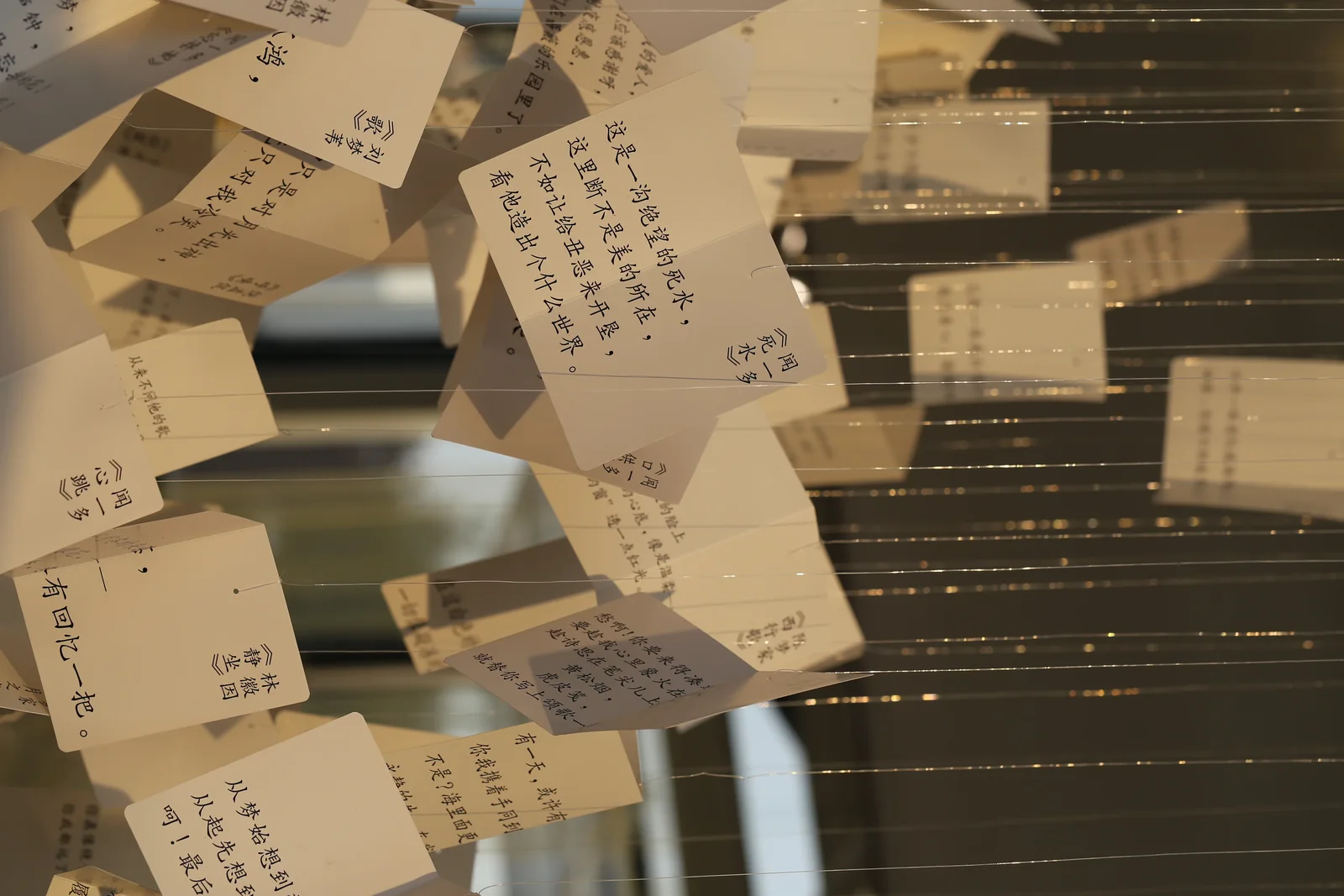 从水中诗，到诗中潮—徐志摩在海宁 35