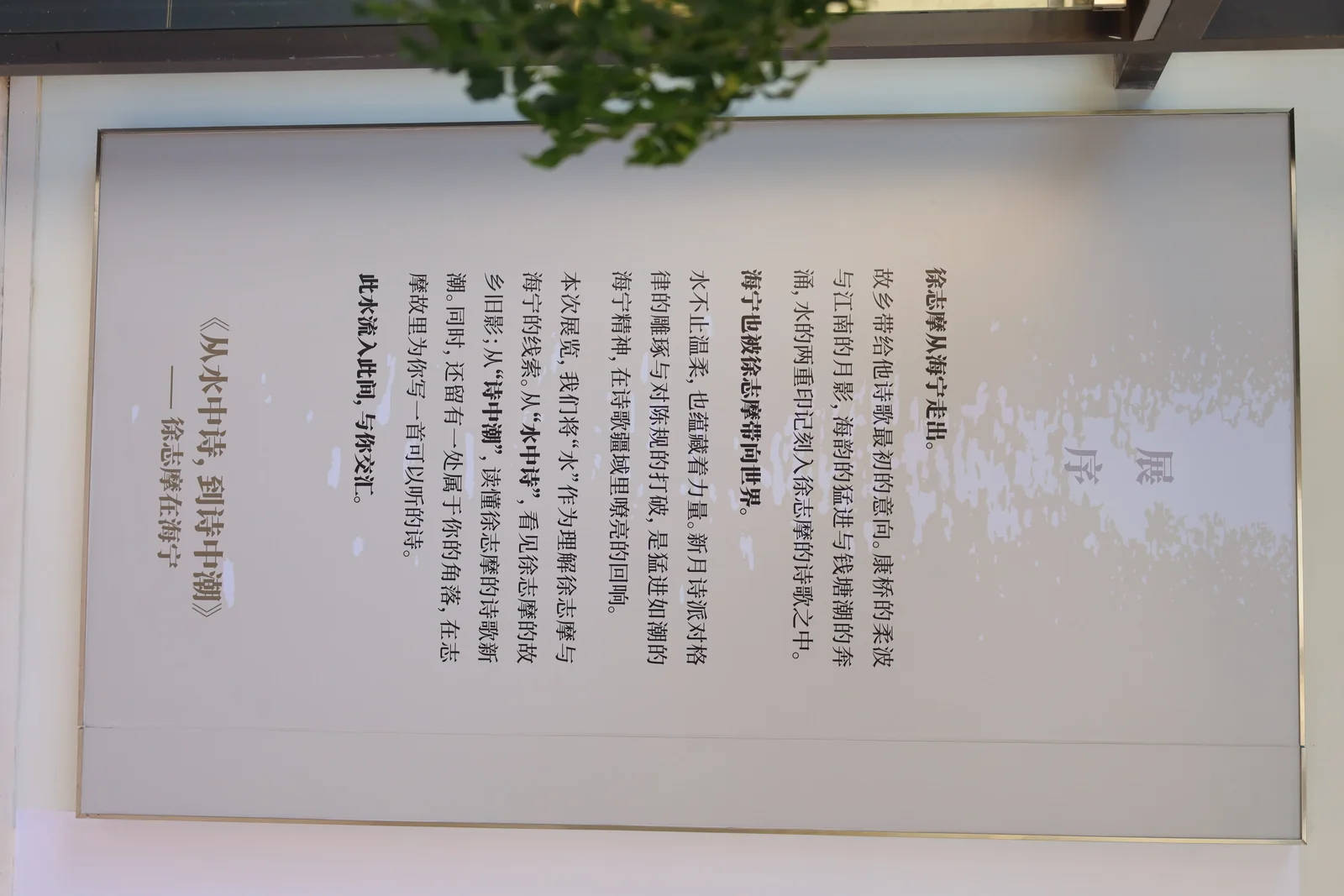 从水中诗，到诗中潮—徐志摩在海宁 38