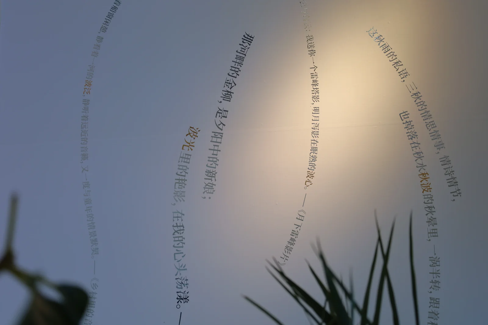 从水中诗，到诗中潮—徐志摩在海宁 44