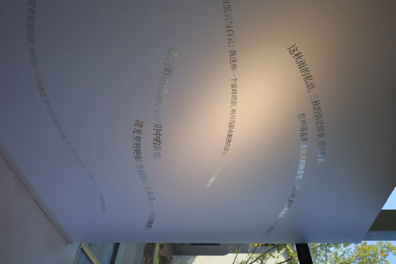 从水中诗，到诗中潮—徐志摩在海宁 51