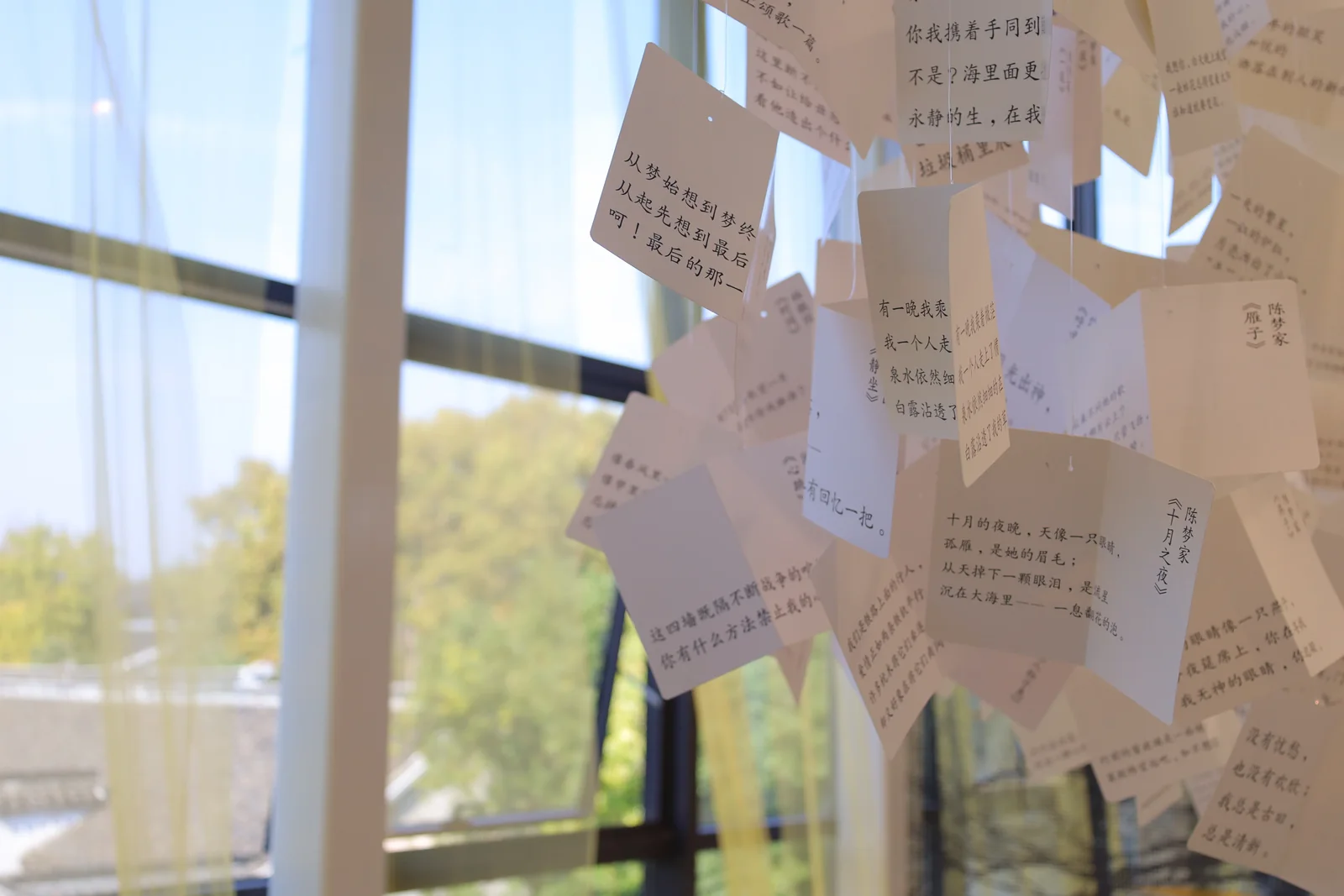 从水中诗，到诗中潮—徐志摩在海宁 57