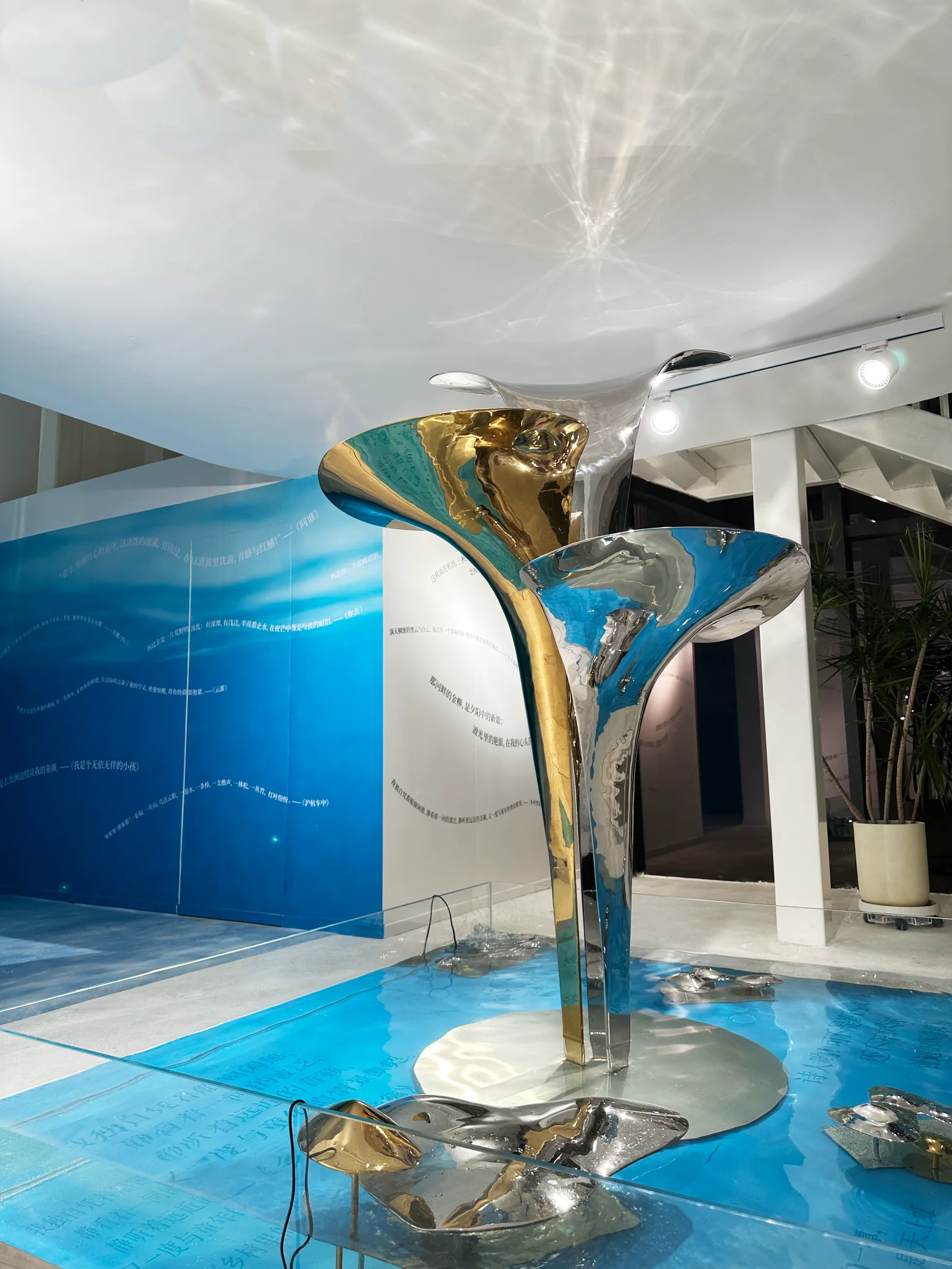 从水中诗，到诗中潮—徐志摩在海宁 88